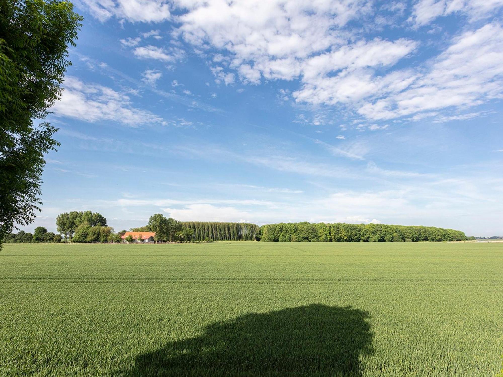 Holiday Home Tuinzicht By Interhome Zuid-Beijerland Zewnętrze zdjęcie